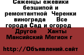 Саженцы ежевики безшипой и ремонтантной. Черенки винограда . - Все города Сад и огород » Другое   . Ханты-Мансийский,Мегион г.